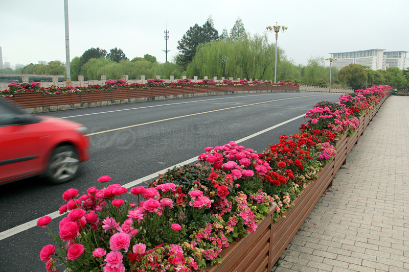 江西南昌道路花箱案例