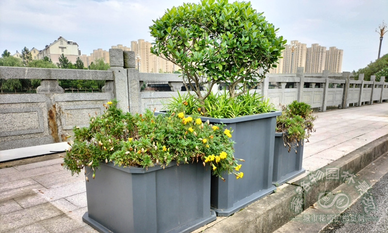 桥梁树围花箱案例