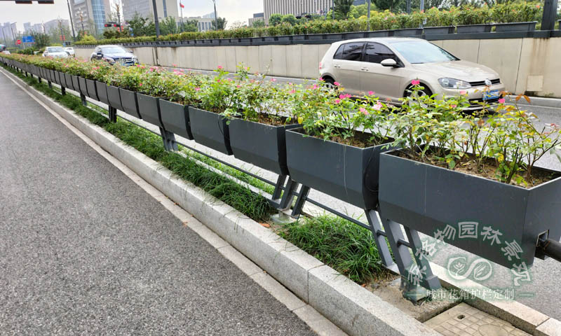 道路自动喷淋装置马鞍花箱案例