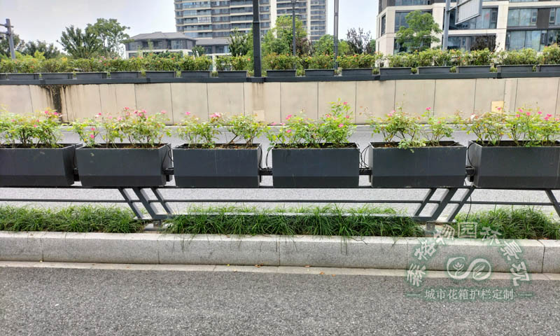 道路自动喷淋装置马鞍花箱案例