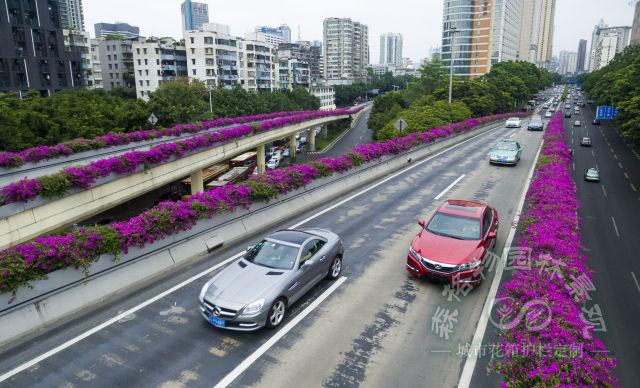 高架桥梁绿化改变城市，带来哪些好处？